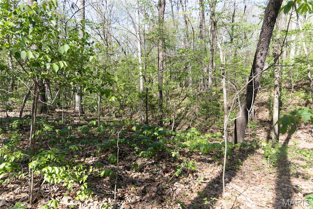 7439 South Panther Creek Road Mount Olive, IL 62069 - Photo 23 of 25