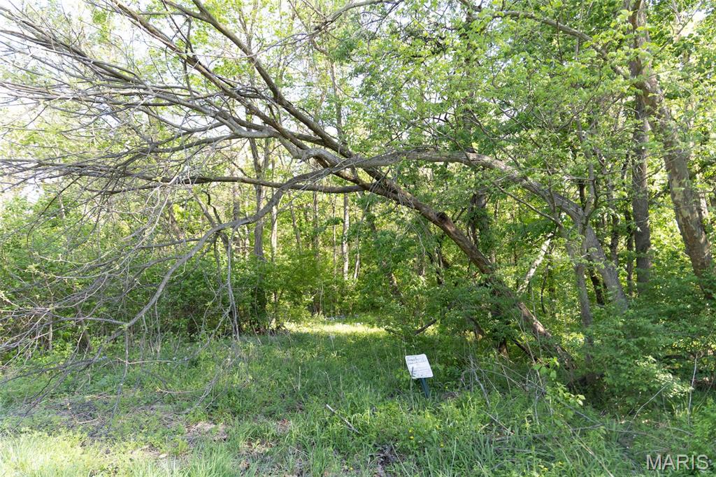 7439 South Panther Creek Road Mount Olive, IL 62069 - Photo 25 of 25