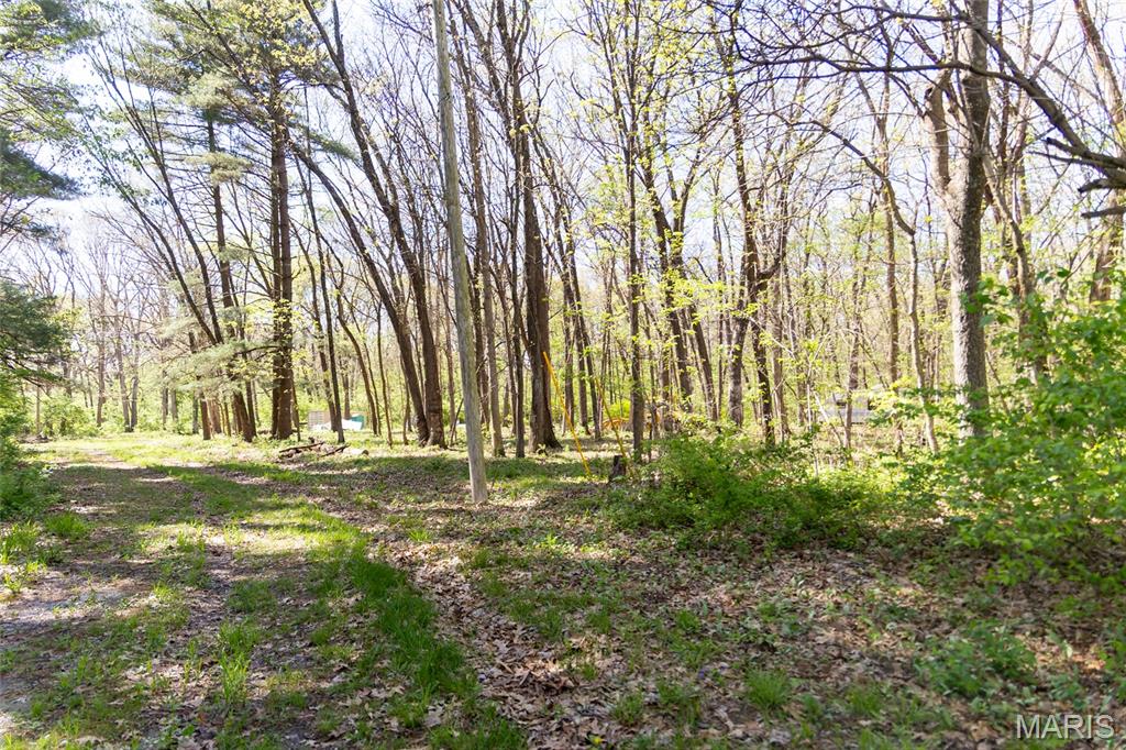 7439 South Panther Creek Road Mount Olive, IL 62069 - Photo 8 of 25