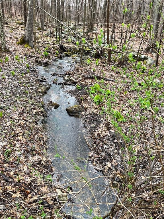 a view of a yard with plants and trees
