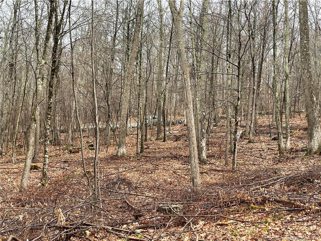 a view of house with yard