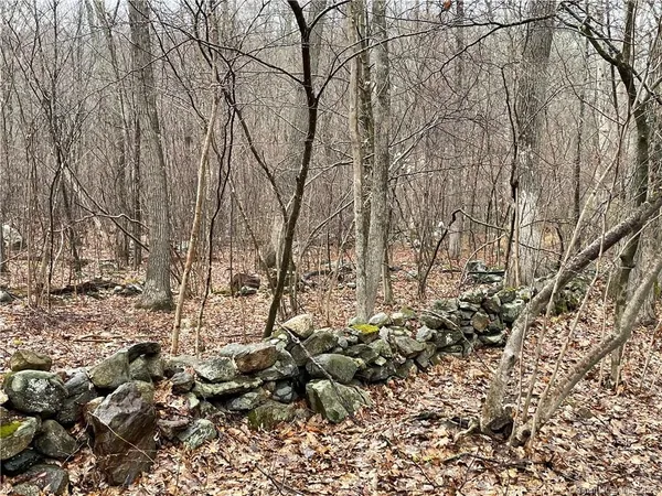 a view of a backyard of the house