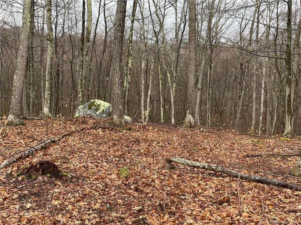 Westwoods Road, Unit 2 Sharon, CT 06069 - Photo 4 of 6 a view of outdoor space with green space