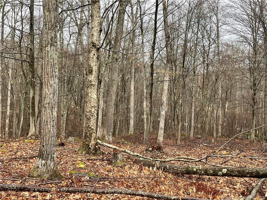 Westwoods Road, Unit 2 Sharon, CT 06069 - Photo 5 of 6 a view of a backyard of the house
