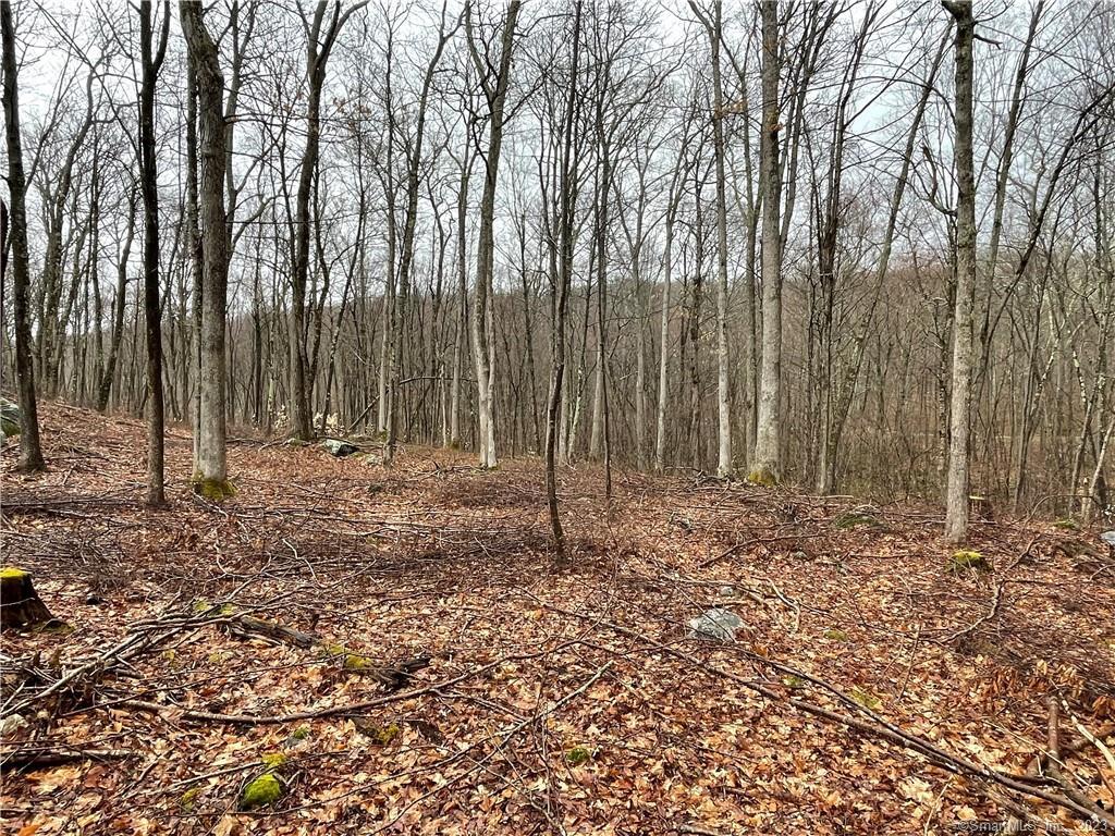 Westwoods Road, Unit 2 Sharon, CT 06069 - Photo 6 of 6 a backyard of a house with lots of green space