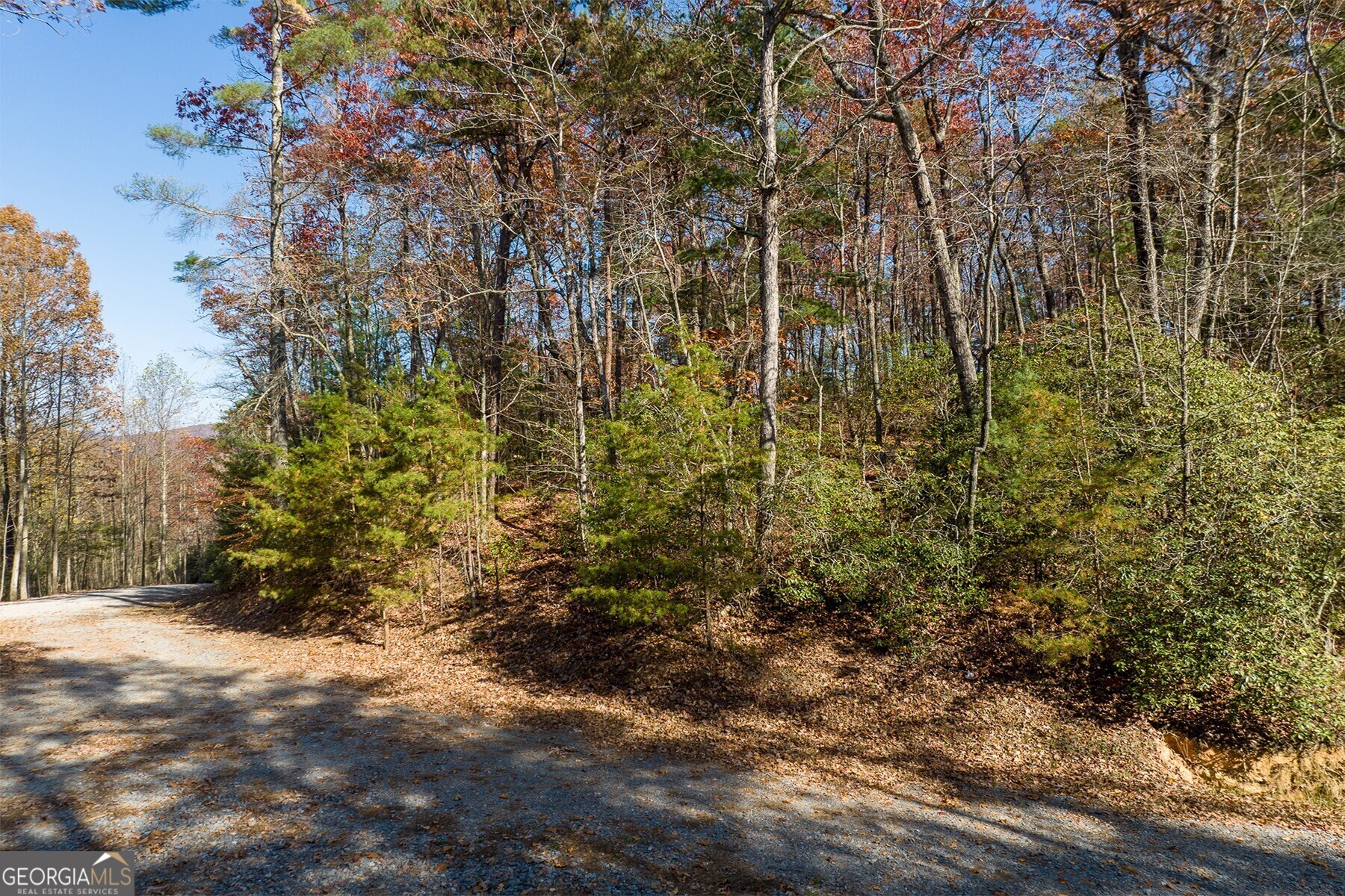 Lot 40 Preserve Trail Ellijay, GA 30536 - Photo 11 of 31 a view of a yard with plants