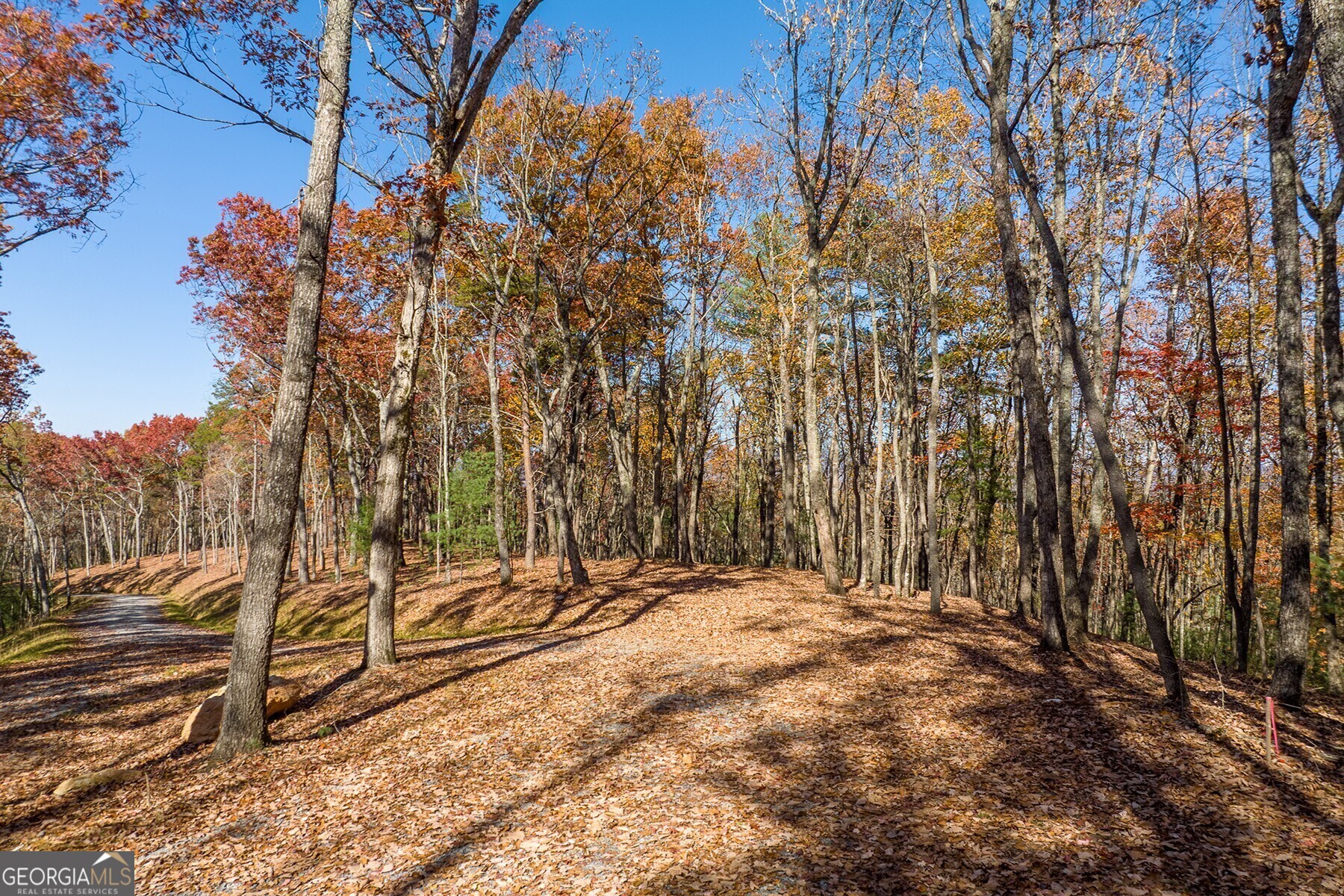 Lot 40 Preserve Trail Ellijay, GA 30536 - Photo 12 of 31 a view of outdoor space with trees