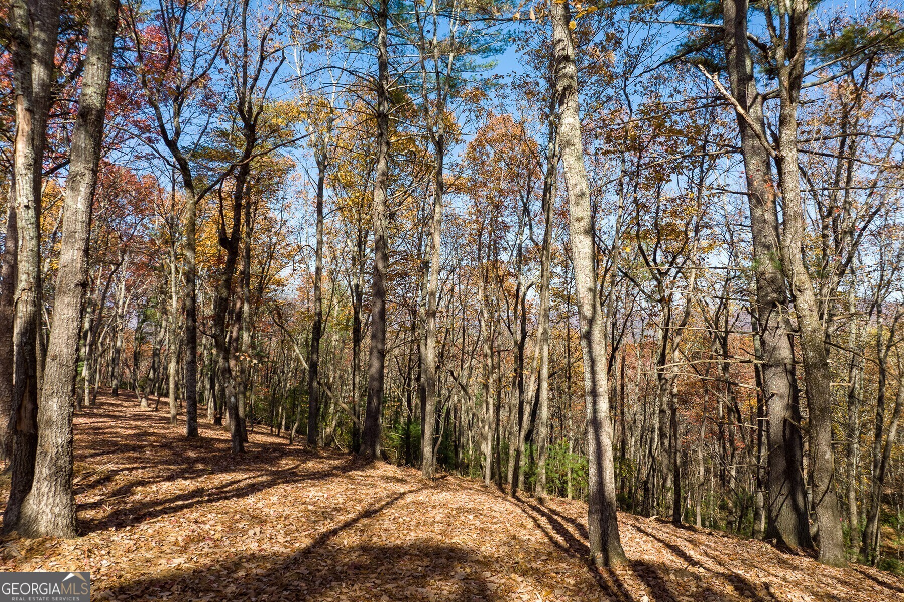 Lot 40 Preserve Trail Ellijay, GA 30536 - Photo 13 of 31 a view of a backyard of the house
