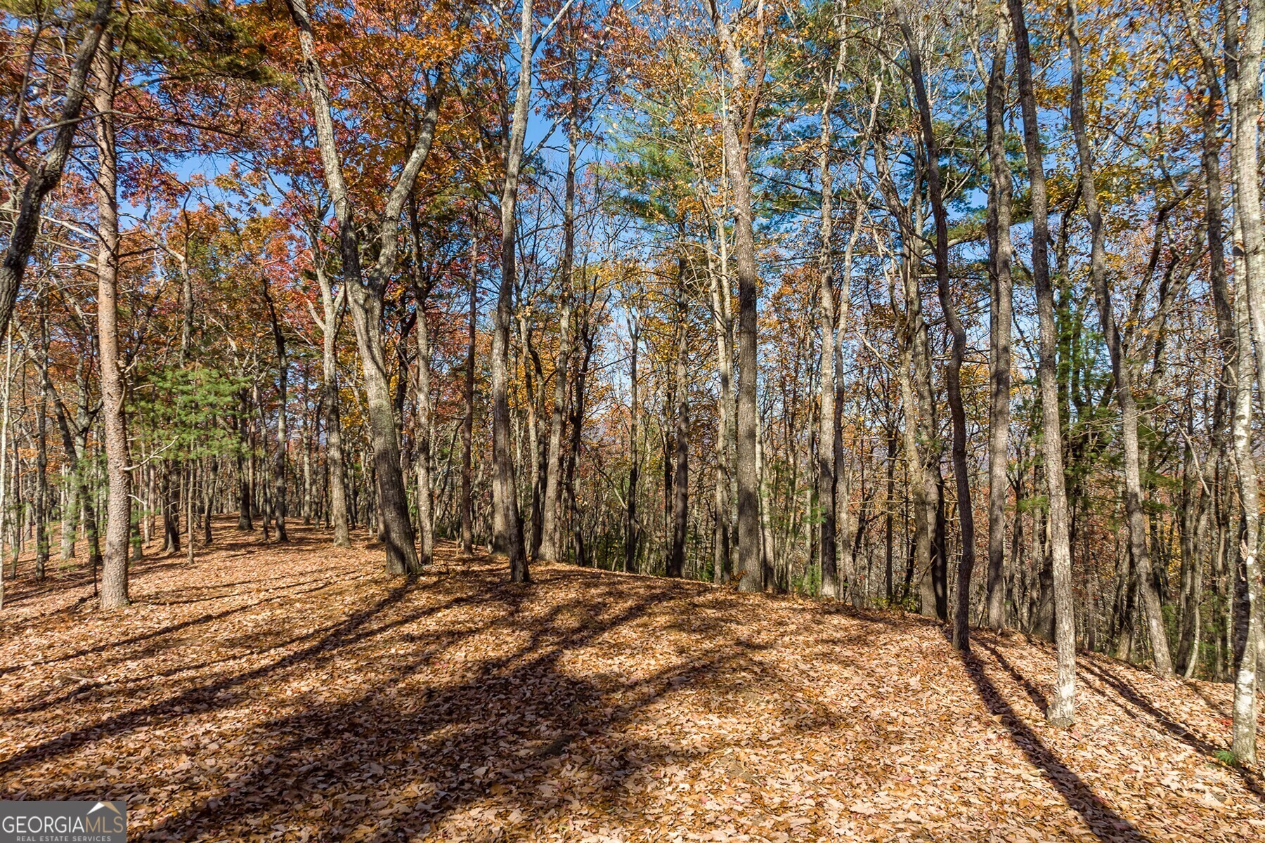 Lot 40 Preserve Trail Ellijay, GA 30536 - Photo 14 of 31 a view of outdoor space with trees