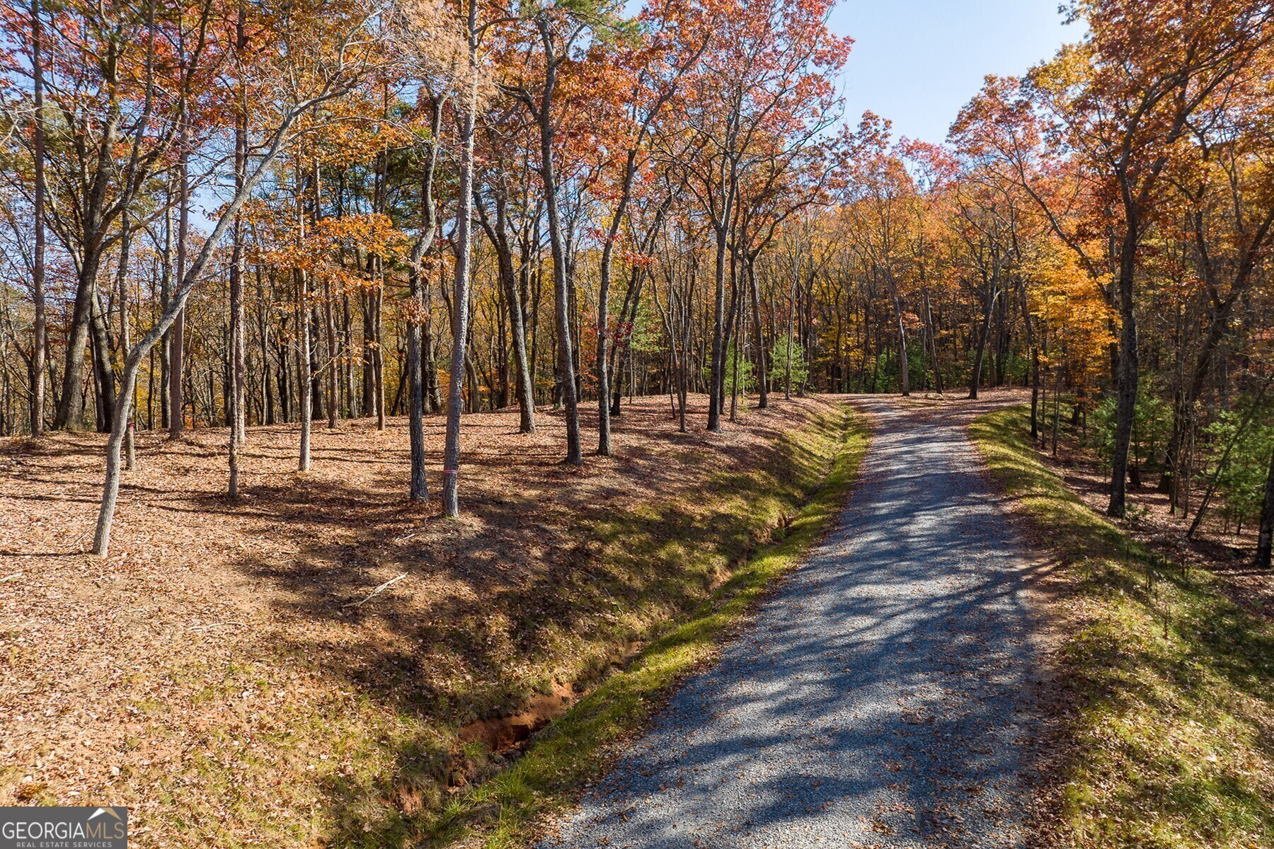 Lot 40 Preserve Trail Ellijay, GA 30536 - Photo 15 of 31 a view of outdoor space with trees