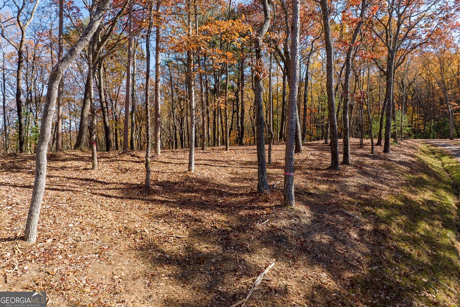 Lot 40 Preserve Trail Ellijay, GA 30536 - Photo 16 of 31 a view of outdoor space with trees