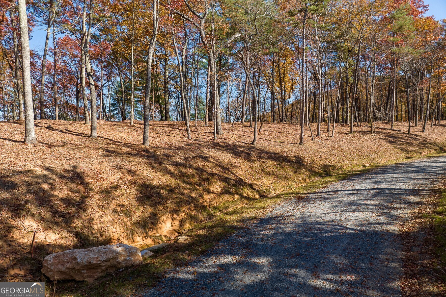 Lot 40 Preserve Trail Ellijay, GA 30536 - Photo 17 of 31 a view of yard with trees