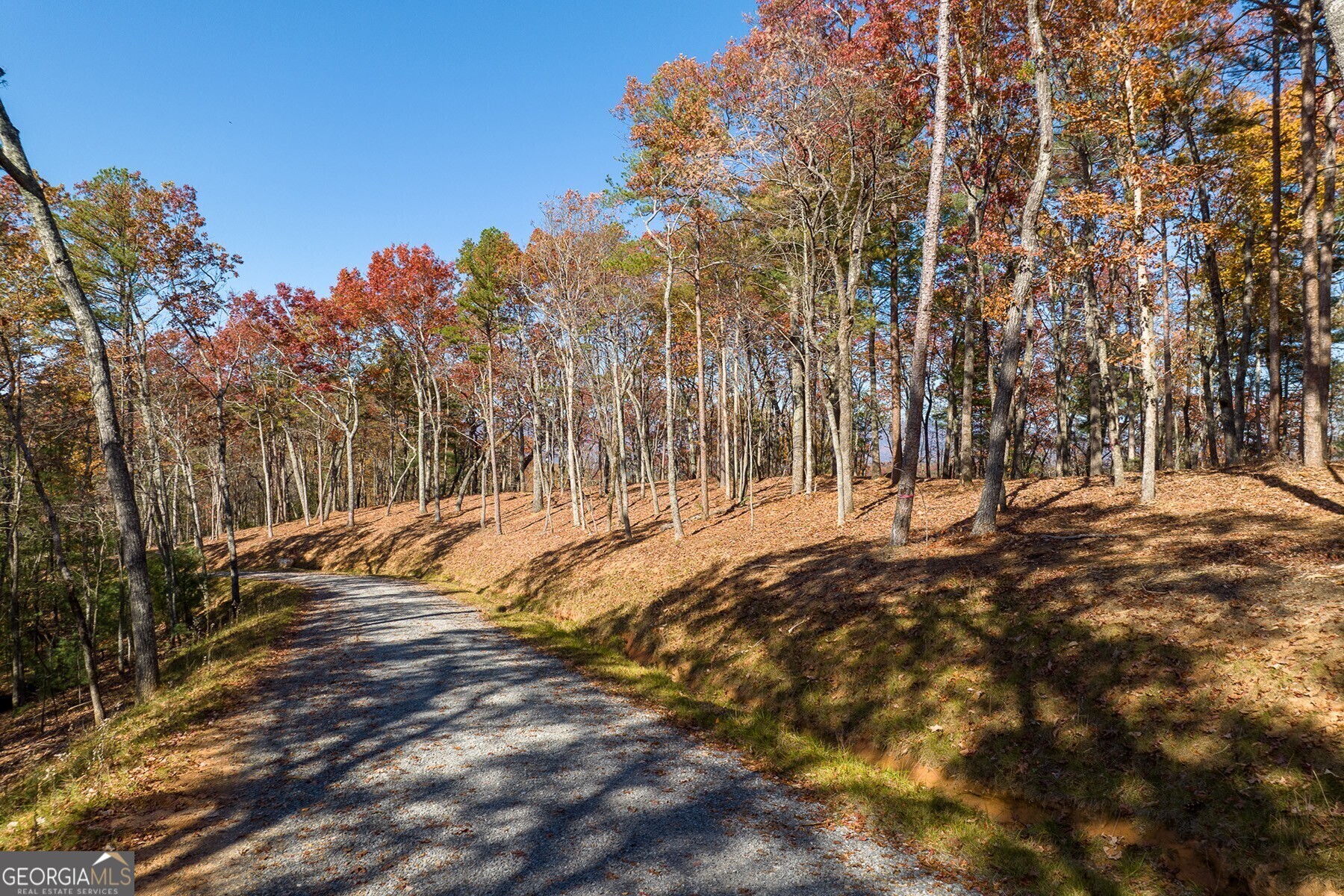 Lot 40 Preserve Trail Ellijay, GA 30536 - Photo 18 of 31 a view of outdoor space with trees