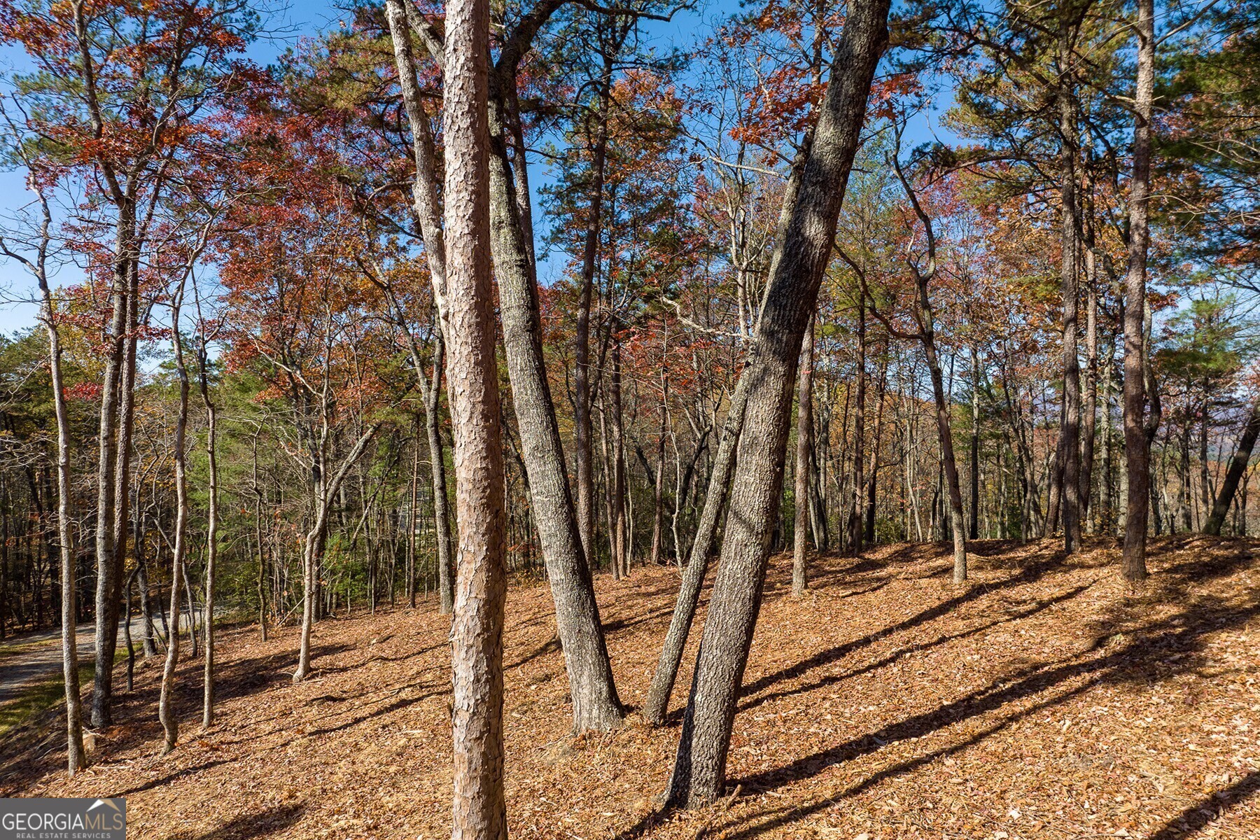 Lot 40 Preserve Trail Ellijay, GA 30536 - Photo 2 of 31 a view of a backyard of the house