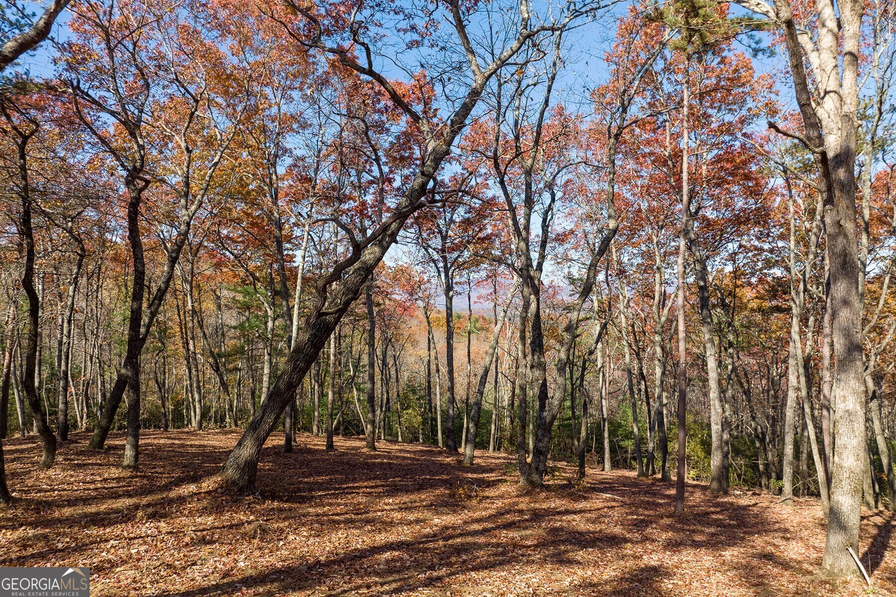 Lot 40 Preserve Trail Ellijay, GA 30536 - Photo 4 of 31 a view of outdoor space with deck and tree
