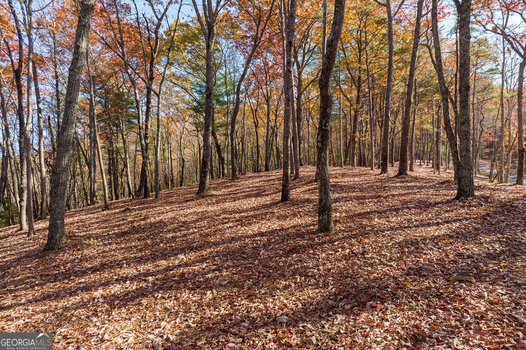 Lot 40 Preserve Trail Ellijay, GA 30536 - Photo 7 of 31 a backyard of a house with lots of green space
