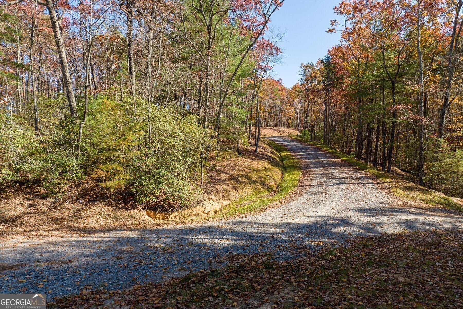 Lot 40 Preserve Trail Ellijay, GA 30536 - Photo 10 of 31 a view of yard