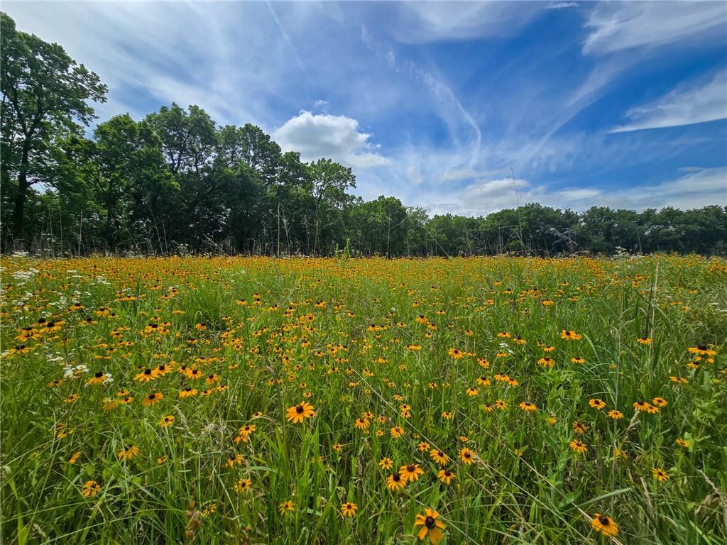 2087 South 1600th Road Wilsey, KS 66873 - Photo 4 of 56