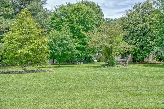 a grassy field with trees in the background
