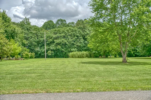 a view of green field