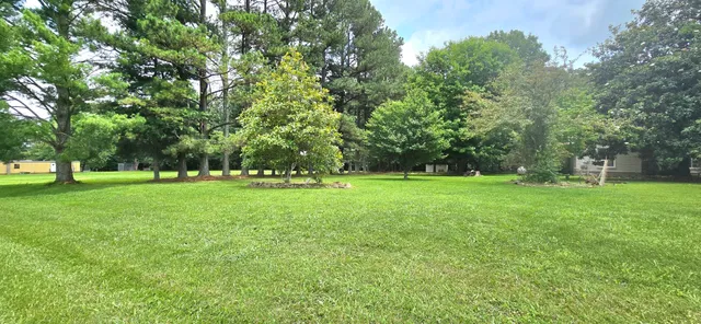 a front view of a house with a yard and trees