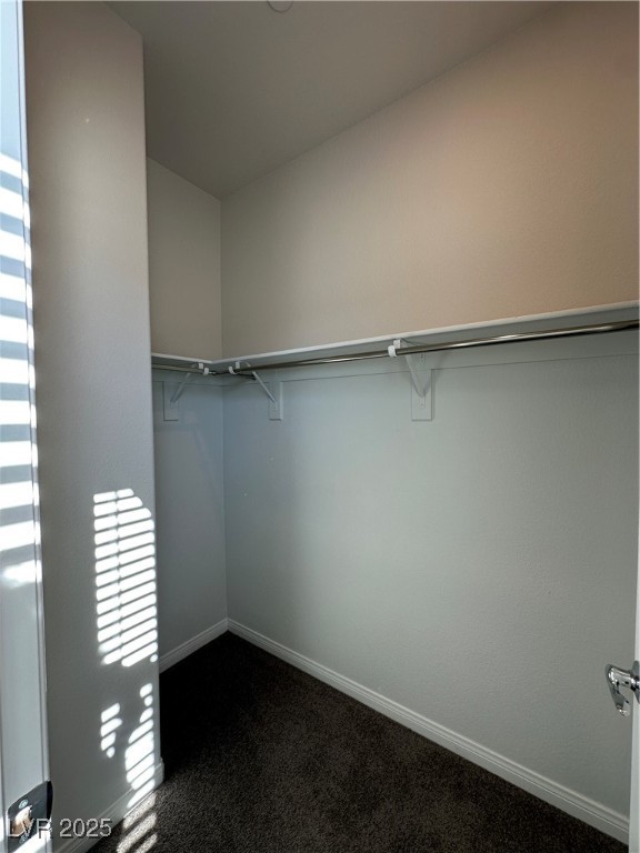 11585 Salt Creek Avenue Las Vegas, NV 89138 - Photo 39 of 45 Walk in closet featuring dark carpet