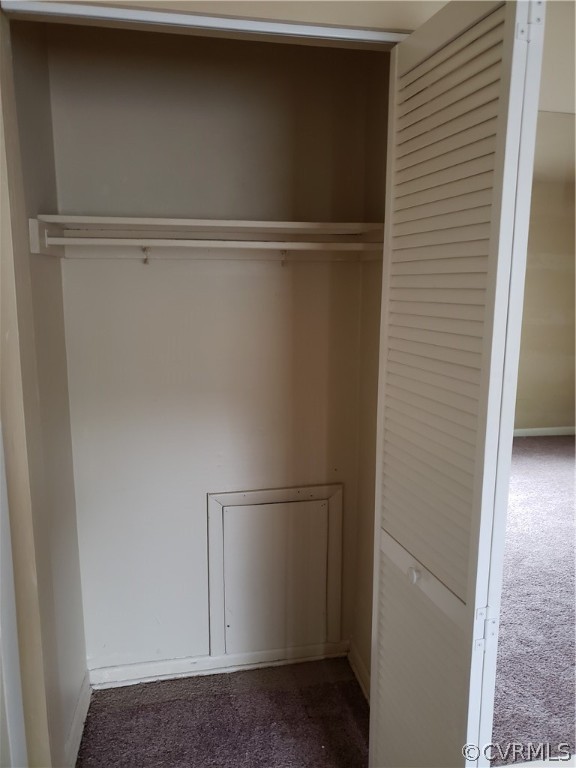 5612 Crenshaw Road, Unit 1113 Richmond, VA 23227 - Photo 12 of 19 a view of closet