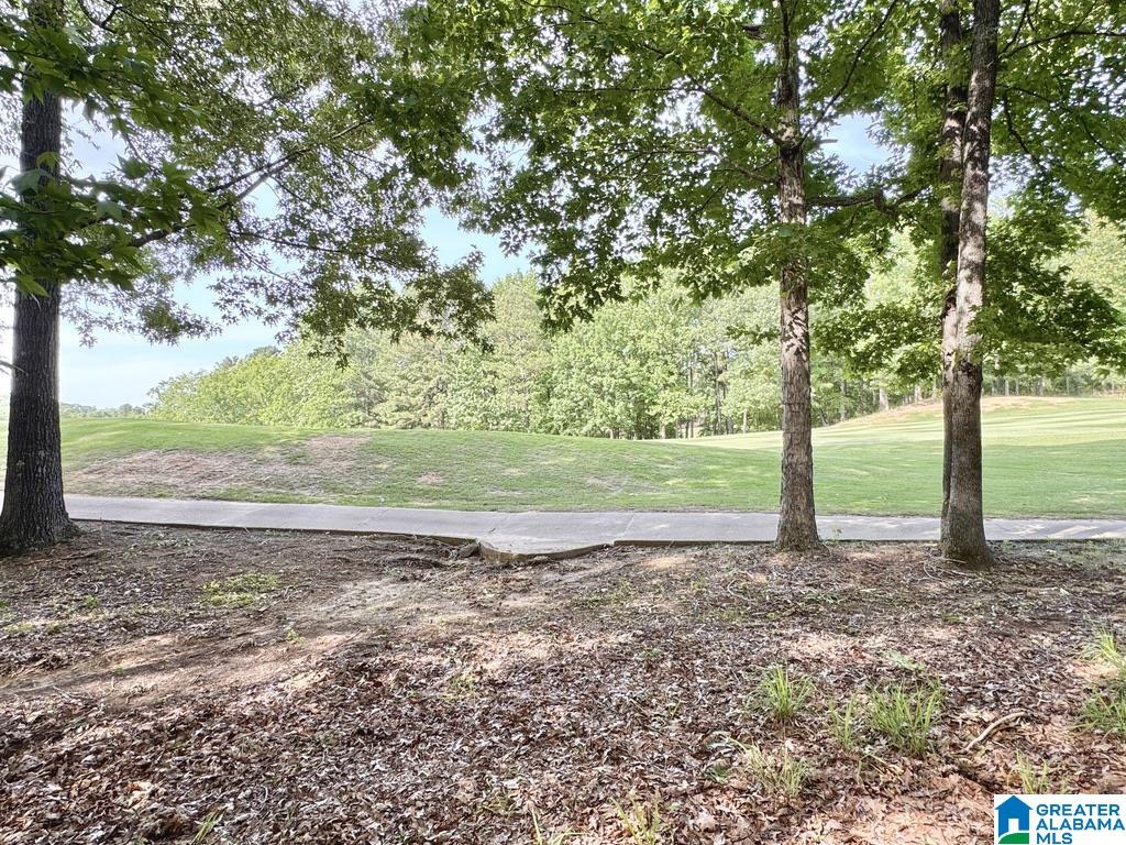 920 Trinity Court Birmingham, AL 35242 - Photo 96 of 100