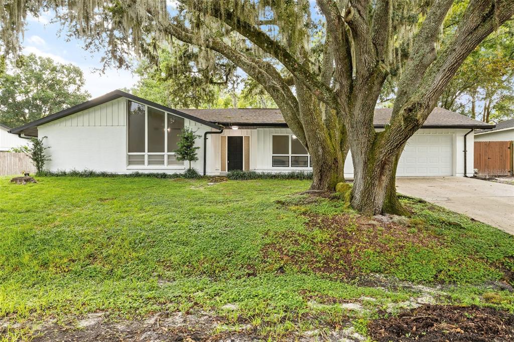 23118 Geneva Road Land O' Lakes, FL 34639 - Photo 1 of 1 Front Exterior