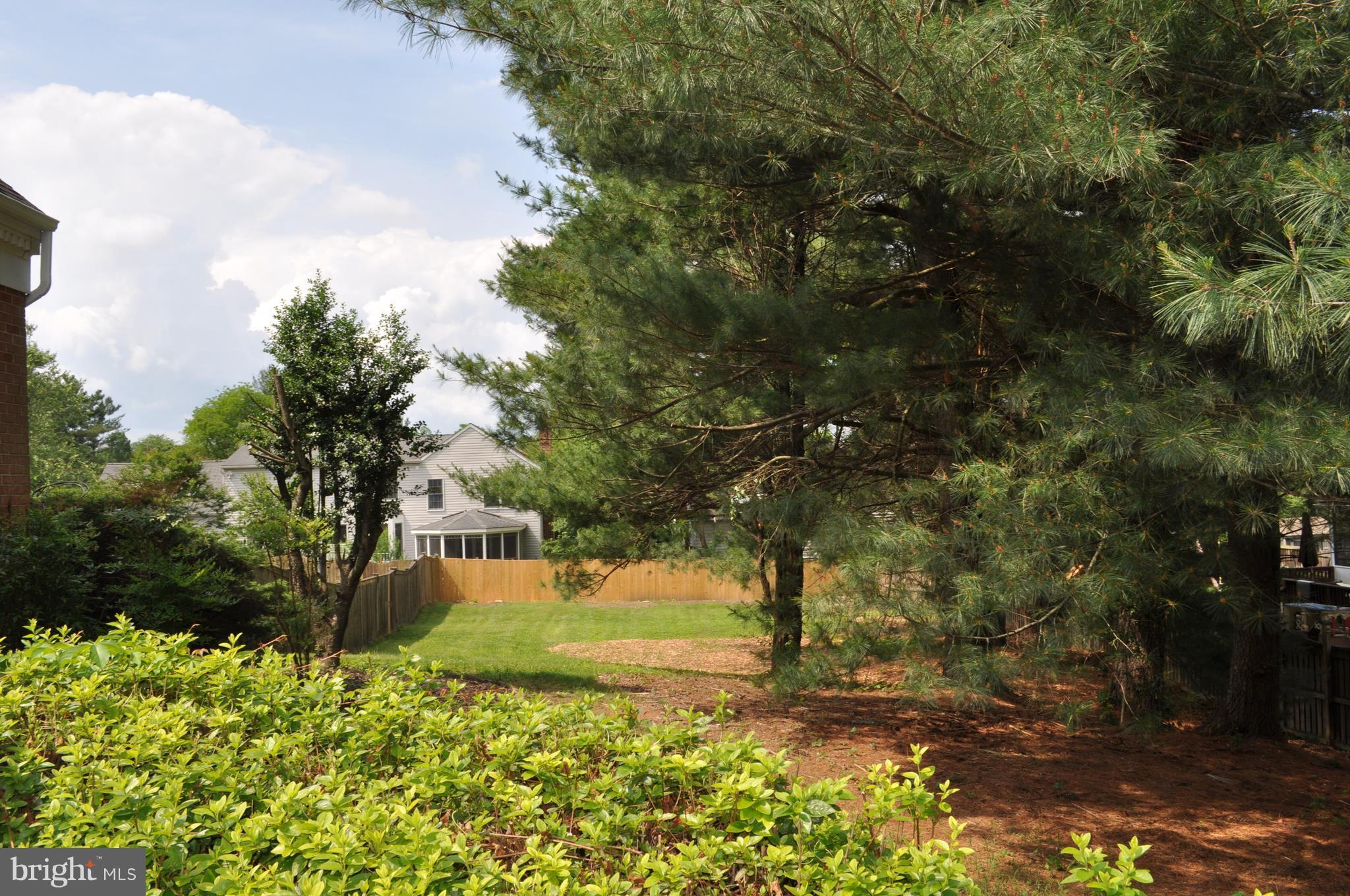 14616 Falling Leaf Way Gaithersburg, MD 20878 - Photo 18 of 23 a view of yard with tree