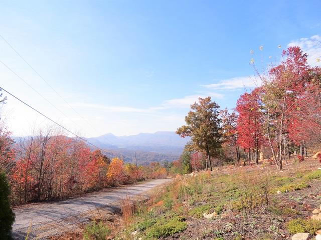 Lot 11 Eagle Mtn Road Newport, TN 37821 - Photo 2 of 14 Mountain view