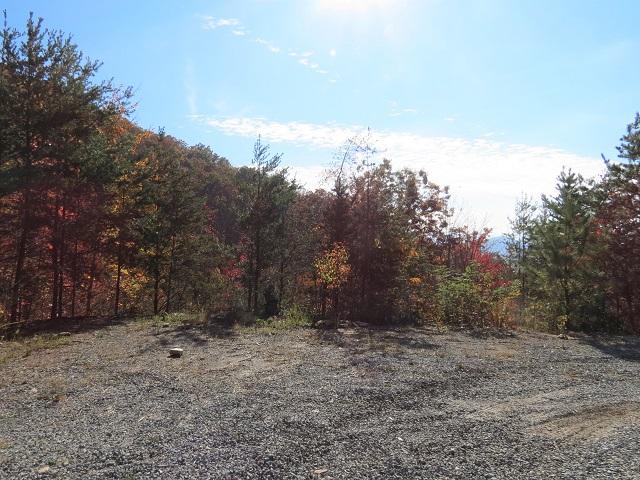 Lot 11 Eagle Mtn Road Newport, TN 37821 - Photo 11 of 14 Start of property