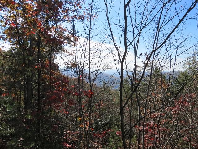 Lot 11 Eagle Mtn Road Newport, TN 37821 - Photo 3 of 14 Land pic 2