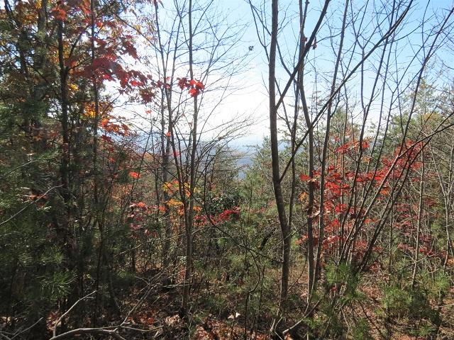 Lot 11 Eagle Mtn Road Newport, TN 37821 - Photo 4 of 14 Land pic 3