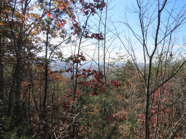 Lot 11 Eagle Mtn Road Newport, TN 37821 - Photo 5 of 14 Land pic 4