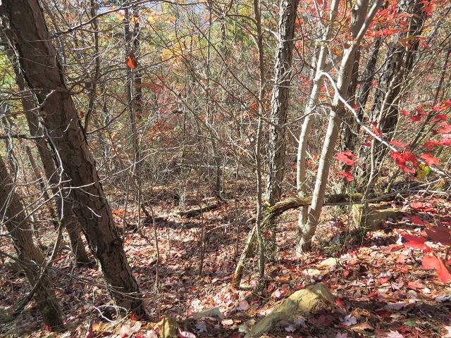 Lot 11 Eagle Mtn Road Newport, TN 37821 - Photo 6 of 14 Land pic 5