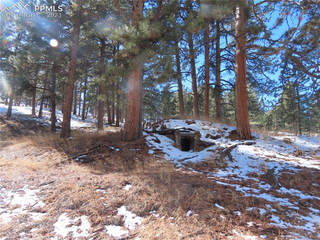 203 Pine Road Florissant, CO 80816 - Photo 4 of 20