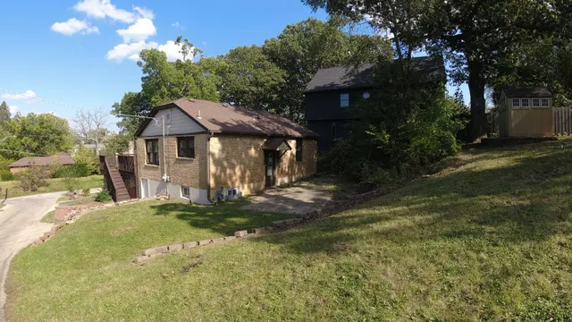 a view of a yard with plants and trees