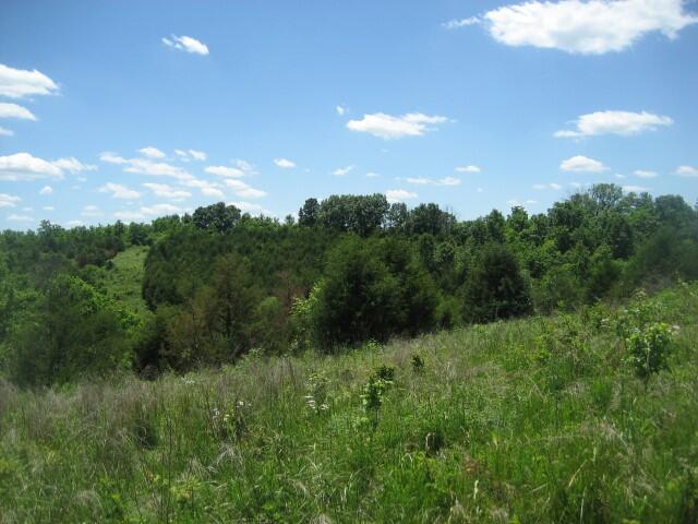 1234 A Rutherford School Road Lawrenceburg, KY 40342 - Photo 13 of 15 IMG_0414 (Small)