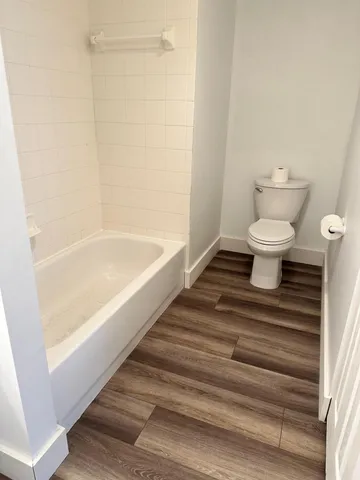 a bathroom with a toilet and a bathtub