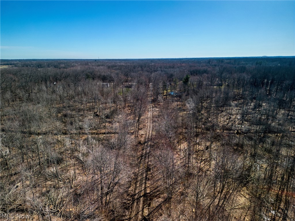 County Line Road Geneva, OH 44041 - Photo 10 of 11
