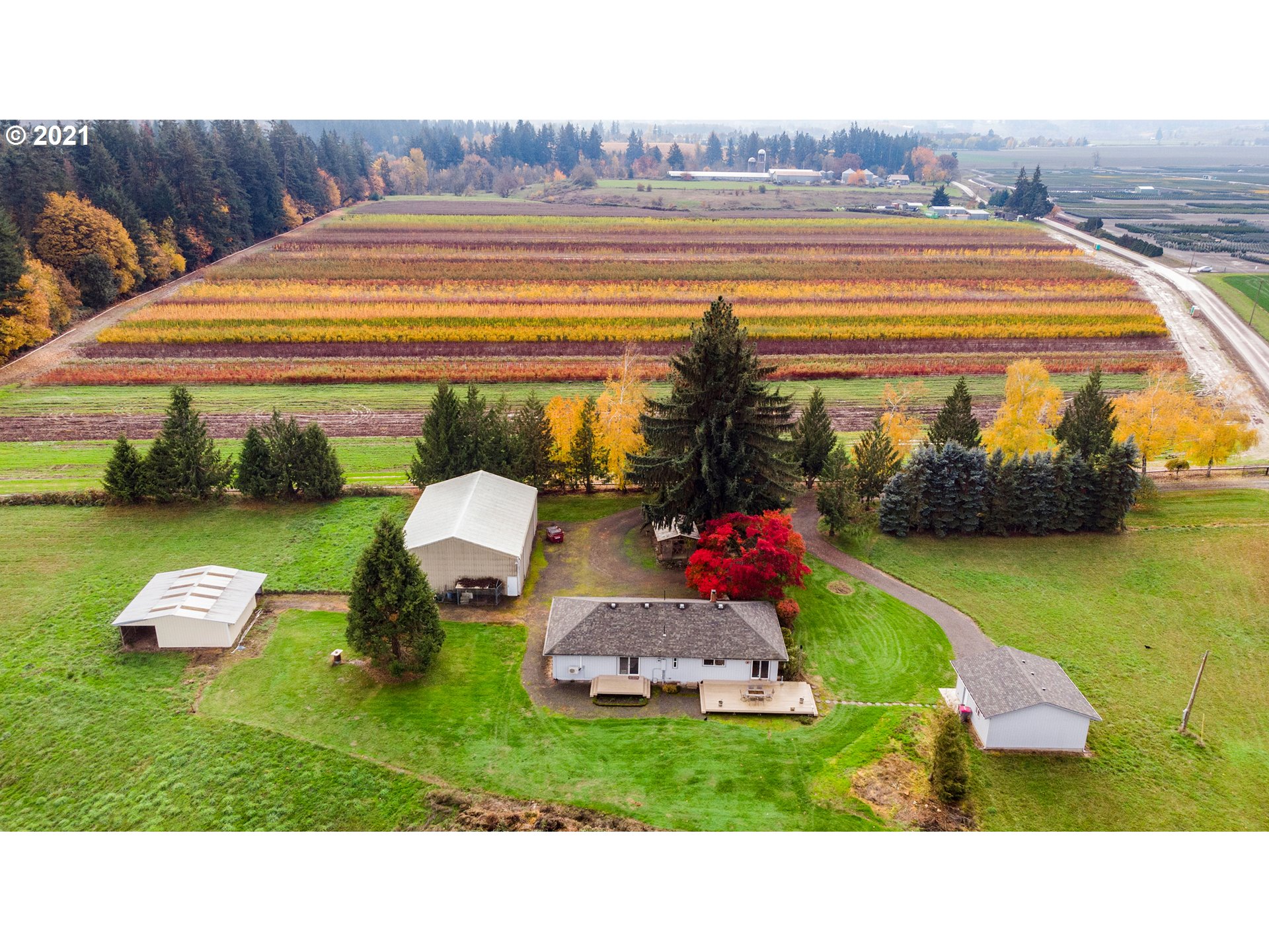 15575 Southeast Webfoot Road Dayton, OR 97114 - Photo 20 of 23