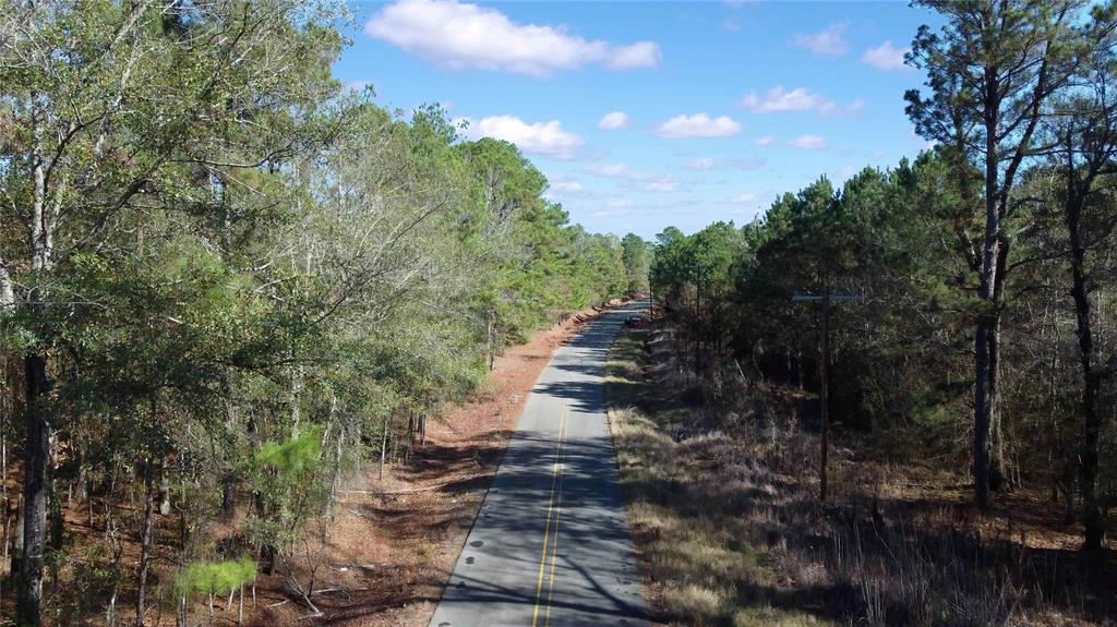 10739 Monterey School Road Vivian, LA 71082 - Photo 1 of 24 a view of a yard with trees