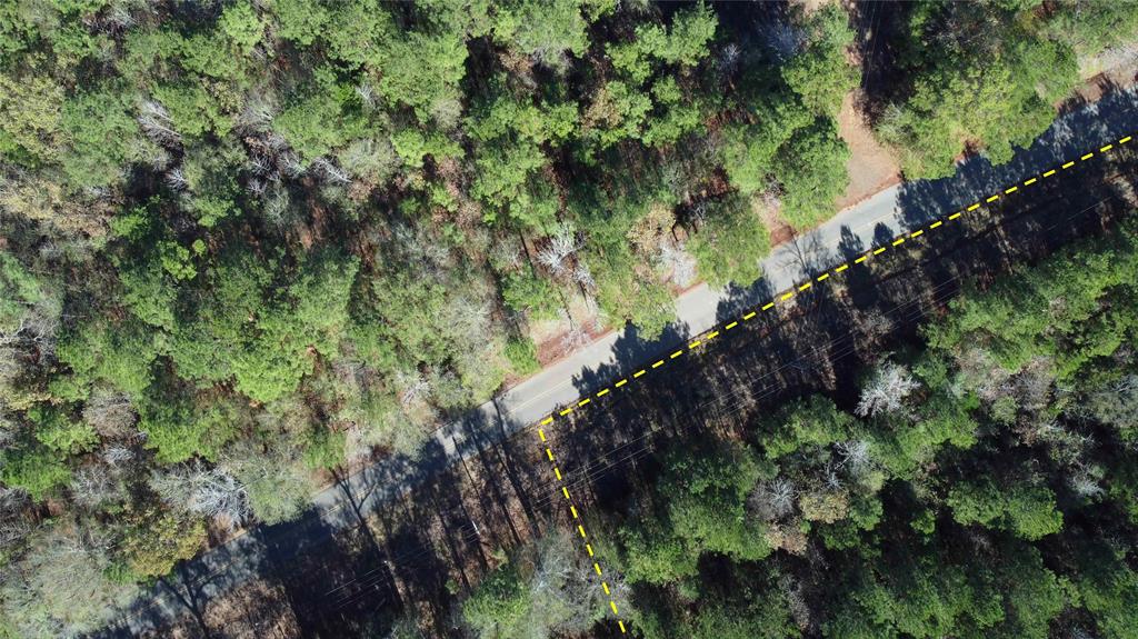 10739 Monterey School Road Vivian, LA 71082 - Photo 11 of 24 a view of a forest with a tree