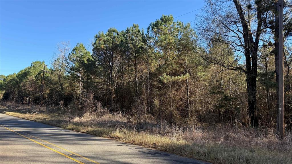 10739 Monterey School Road Vivian, LA 71082 - Photo 14 of 24 a view of a yard