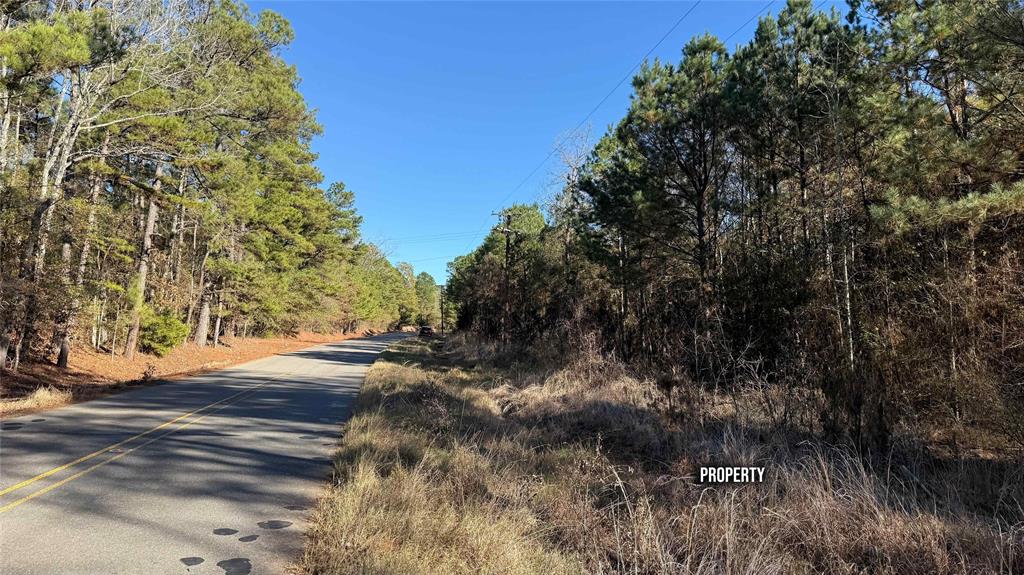 10739 Monterey School Road Vivian, LA 71082 - Photo 15 of 24 a view of a yard with plants and trees