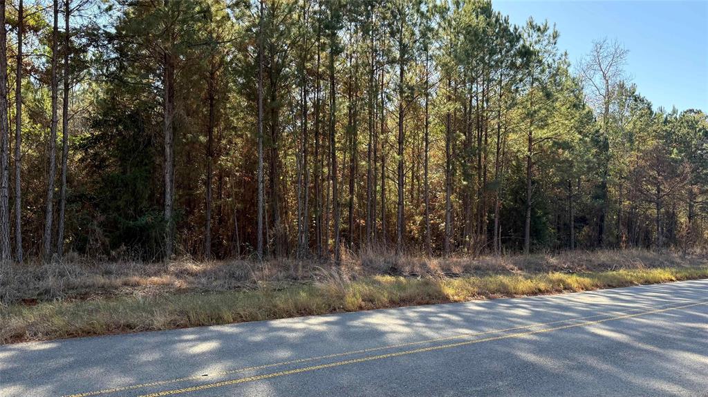10739 Monterey School Road Vivian, LA 71082 - Photo 17 of 24 a view of swimming pool with a yard