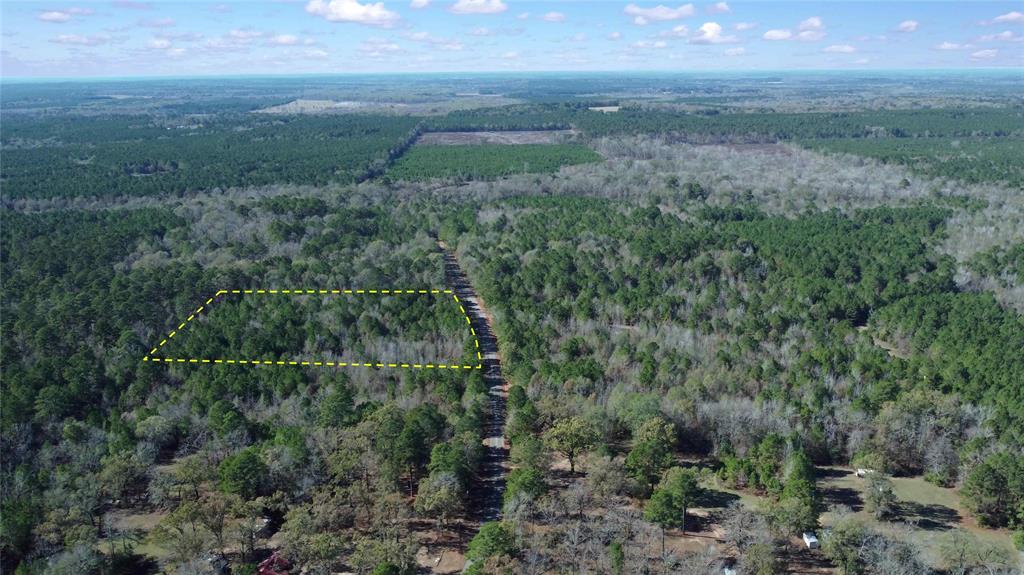10739 Monterey School Road Vivian, LA 71082 - Photo 2 of 24 a view of a yard with a street
