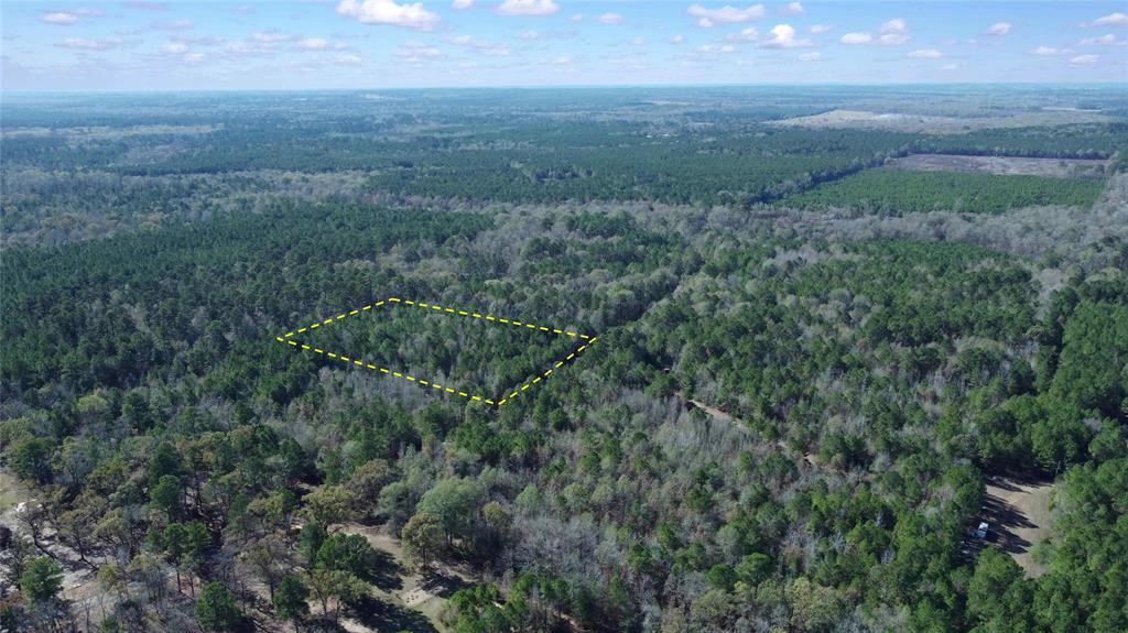 10739 Monterey School Road Vivian, LA 71082 - Photo 4 of 24 a view of a field of grass and trees