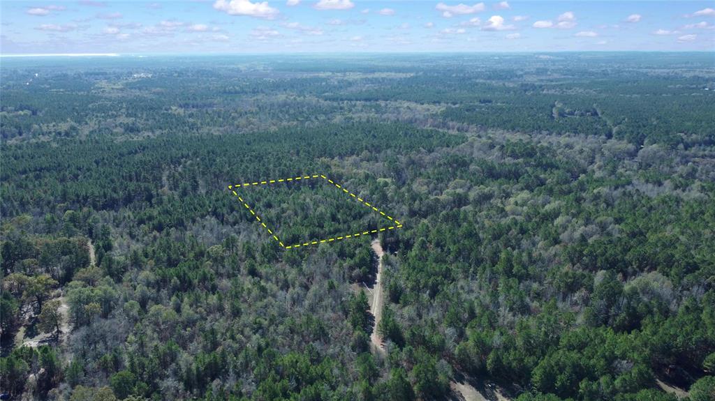 10739 Monterey School Road Vivian, LA 71082 - Photo 5 of 24 a view of a field